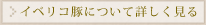 イベリコ豚について詳しく見る
